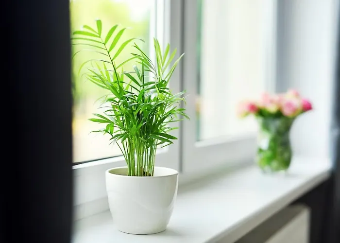 Apartment Lotnisko *